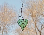 Beer Bottle Glass Aspen Leaf