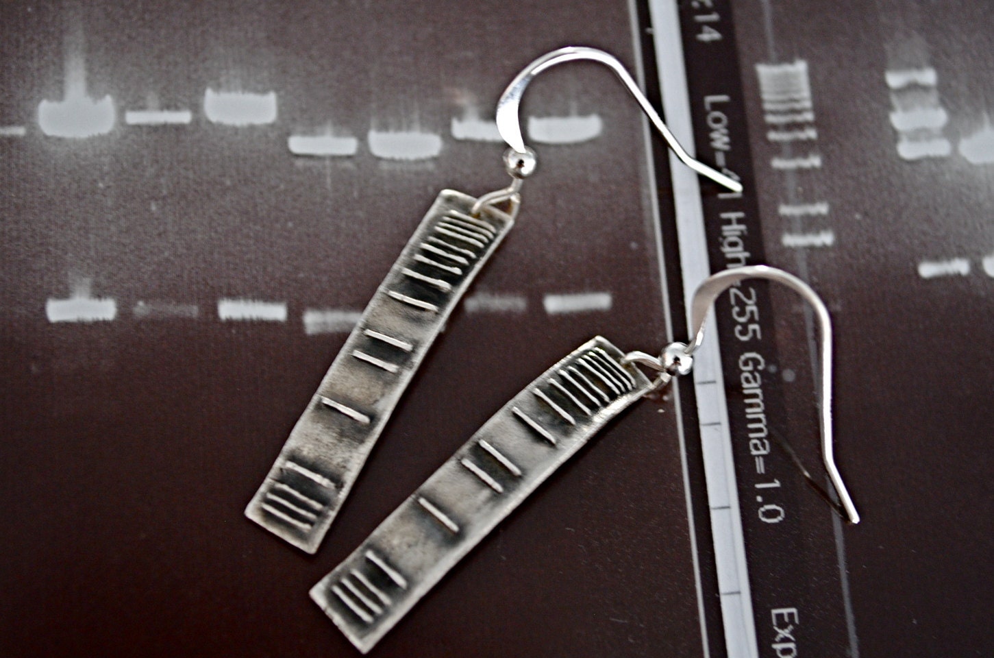 DNA ladder earrings