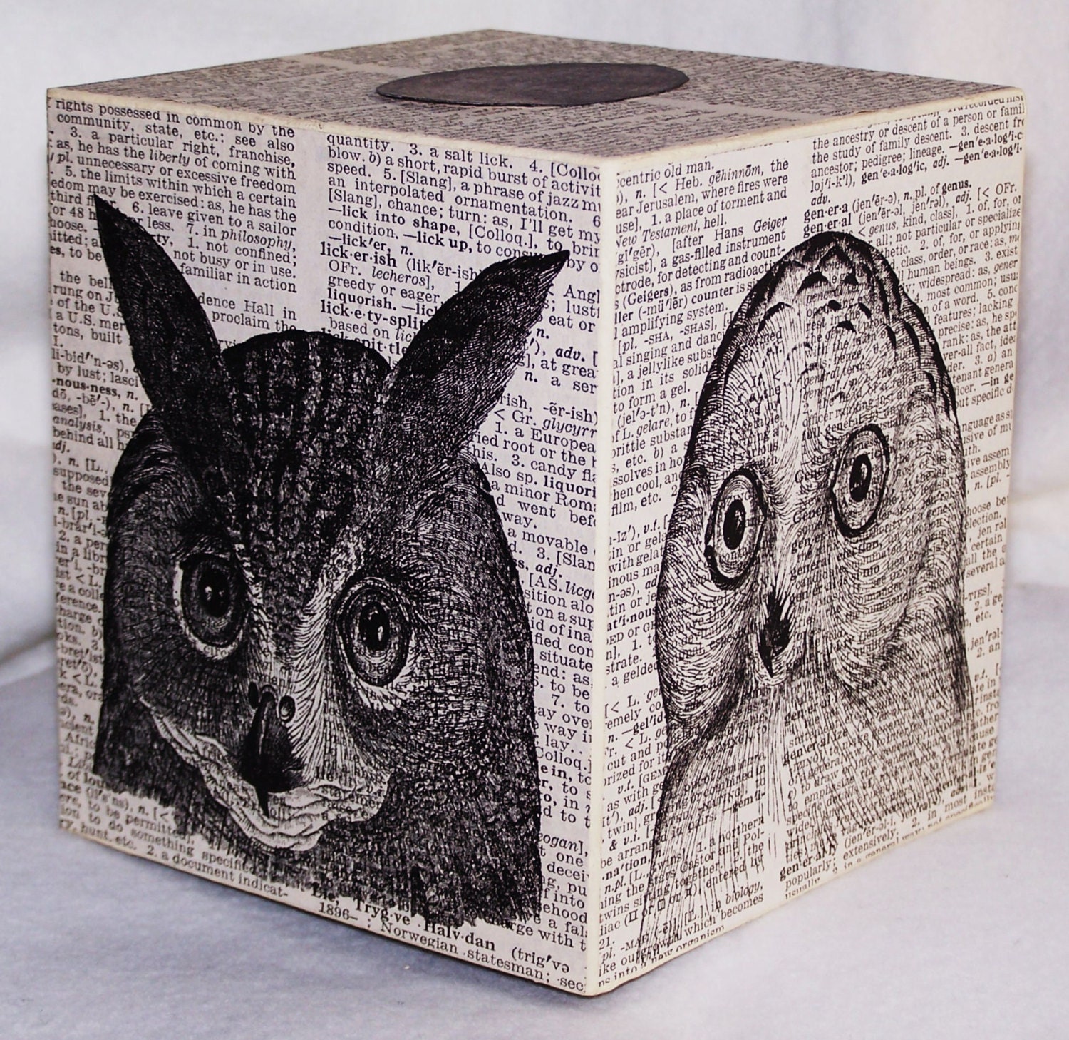 Tissue Box Cover, Owl, Vintage Book Page, Winterberry Cottage