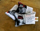 Kitty Cat Personals Binky Catnip Toy Set For Kitty