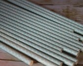 Baby Blue Clubs Paper Straws -- Set of 20 Il_170x135