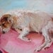 8 x 10" Custom Dog Cat Pet Animal Portrait, oil painting made to order
