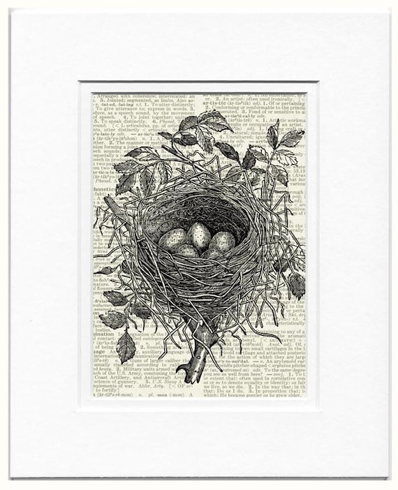 birds nest I - vintage bird nest artwork printed on page from old dictionary