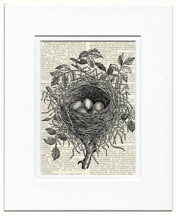 birds nest I - vintage bird nest artwork printed on page from old dictionary