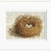 bird nest - vintage artwork with three eggs - printed on page from old dictionary