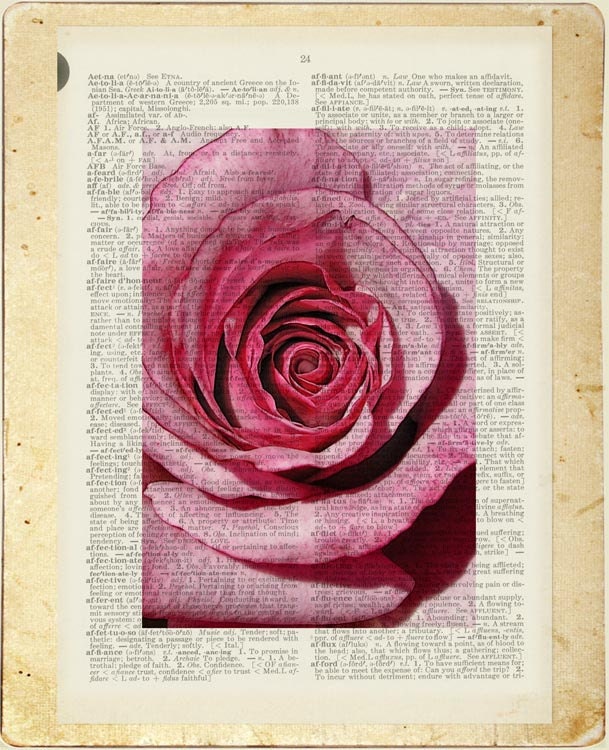 rose - farmers market rose printed on page from vintage dictonary