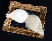 NEW Angel Wings for Baby - Photo Prop Infant Feather Angel Wings - Fully Poseable for Newborn Photography