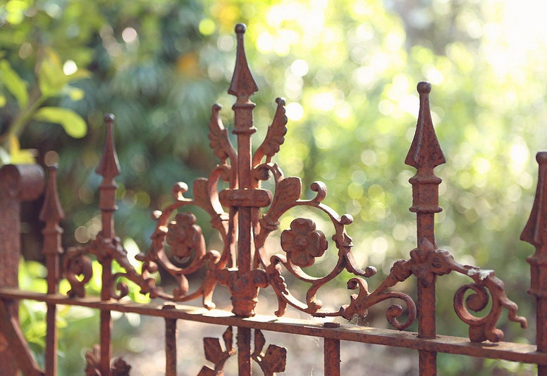 Vintage Garden Gate - 11x16 Fine Art Print - Nostalgic - Nostalgia - Secret Garden - Gardener - Gardening