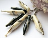 lampwork pods  - naturalist's collection - Handmade Pods in Ebony and Silvered Ivory -  by SRA Handmade by Ellen Dooley Lampwork Beads