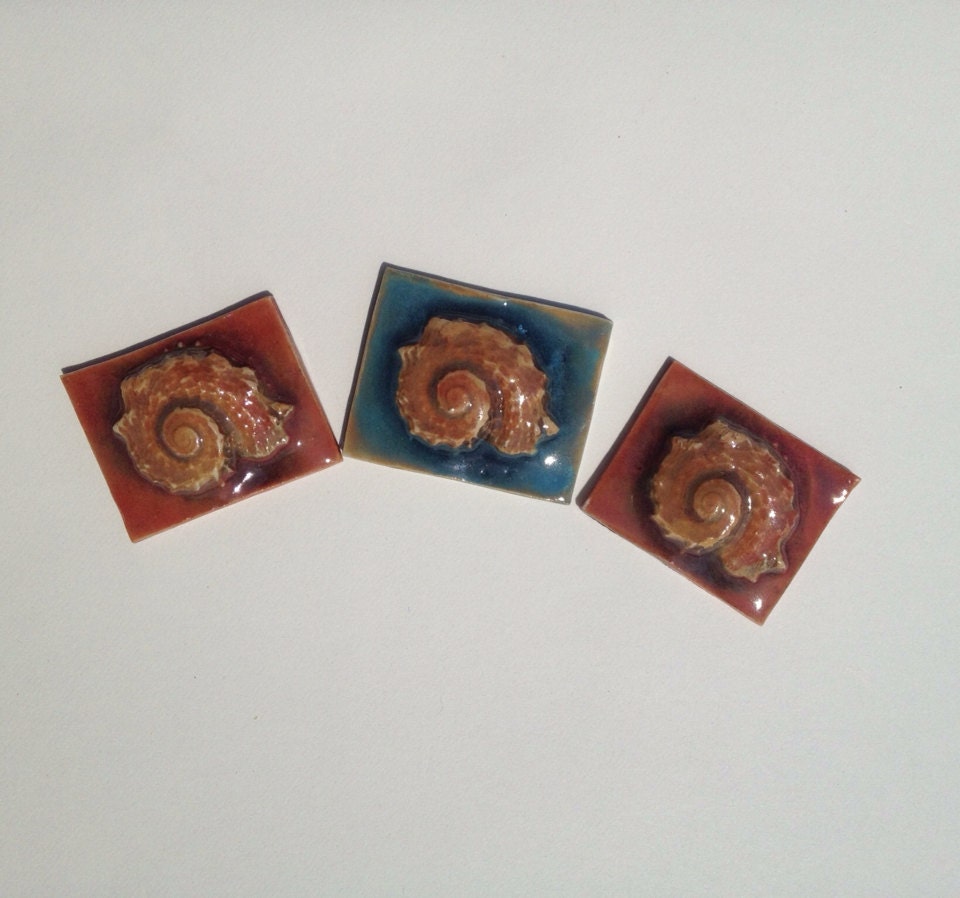 Porcelain Mosaic Tile Spiral Sea Shell
