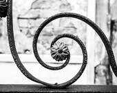 Wrought Iron Flower, New Orleans - 8 x 12 inch Black and White Photograph
