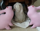 Mother Rabbit Sparrow ornament plush Soft Sculpture pillow bunny rabbit decoration baby pink upcycled sweater soft albino eyes
