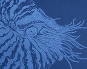 Pearly Nautilus Card