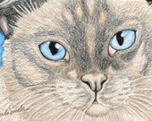 Siamese Cat Original Pencil Drawing Painting Pet Art-Carla Smale