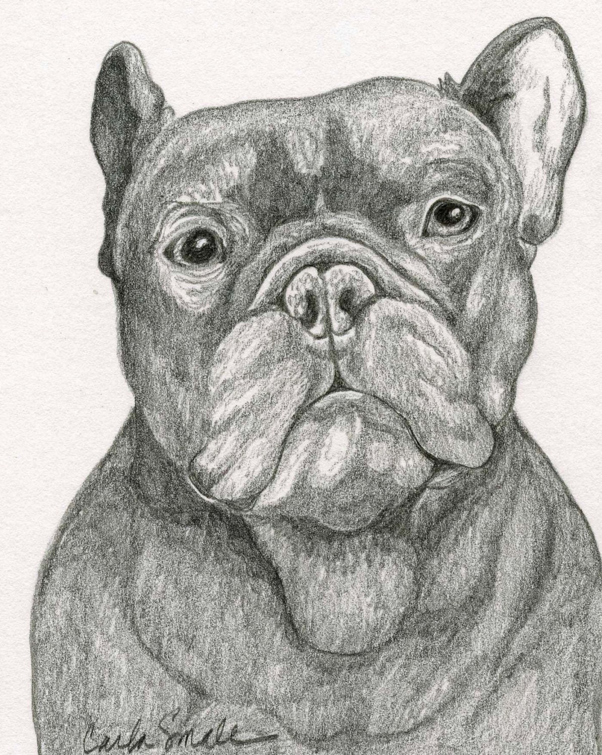 French Bulldog Original Graphite Pencil Drawing Dog Art-Carla Smale