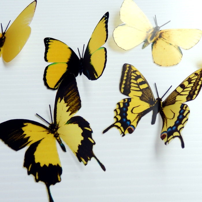 6 x Special Yellow 3D Butterflies great for Weddings, Crafts