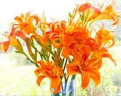 Orange Daylily  Still Life Photograph, Flower  Bouquet  Wall Decor,  Floral Art Print