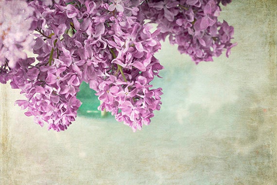 Lilac Still Life Photograph, Shabby Chic Pastel Wall Decor,  Purple Lilac Shabby Chic Photo