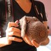 I LOVE MY PUPPY hand crocheted camera cozy