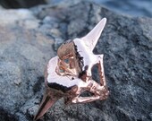 Sand Tiger Shark Tooth Ring in Rose Gold