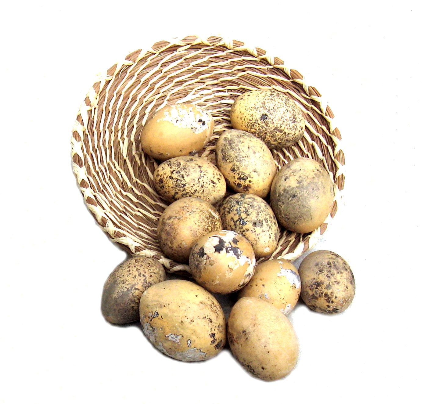 Egg Gourds Baker's Dozen Organically Grown Primitive Bowl Filler Crafts