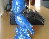 Blue the bird boy
