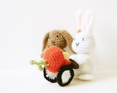 Amigurumi Pattern -Bunny - Rabbits - Crochet Pattern