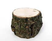Acer negundo -  Box Elder Maple w Lichen Bark Natural Log Rustic Ring or Trinket Box by Tanja Sova