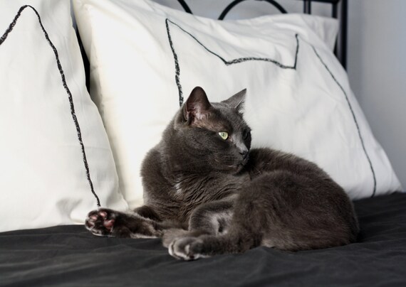 Cat Nap Pillow case Set : 300TC Standard - kitten home decor, bedding, gift for couples, as seen in Your Cat Magazine & DailyCandy