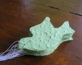 Plantable paper doves in flight - Love birds - Wedding place cards - Asparagus green seed paper bird tags - Garden wedding favor