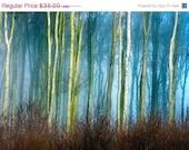 ON SALE Landscape, Abstract Art, Modern Art,  Art Print, Home Wall Decor, Archival Fine Art Print, Trees, Home Decor, Gift, Giclee,