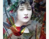 ON SALE Fine Art Print, Giclee Archival Print, Photomontage, Collage, Painted Photographs, The Day of the Humming Birds