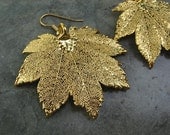 Real Leaf Earrings - 24k Gold - Full Moon Maple
