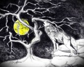 Wolf Moon
