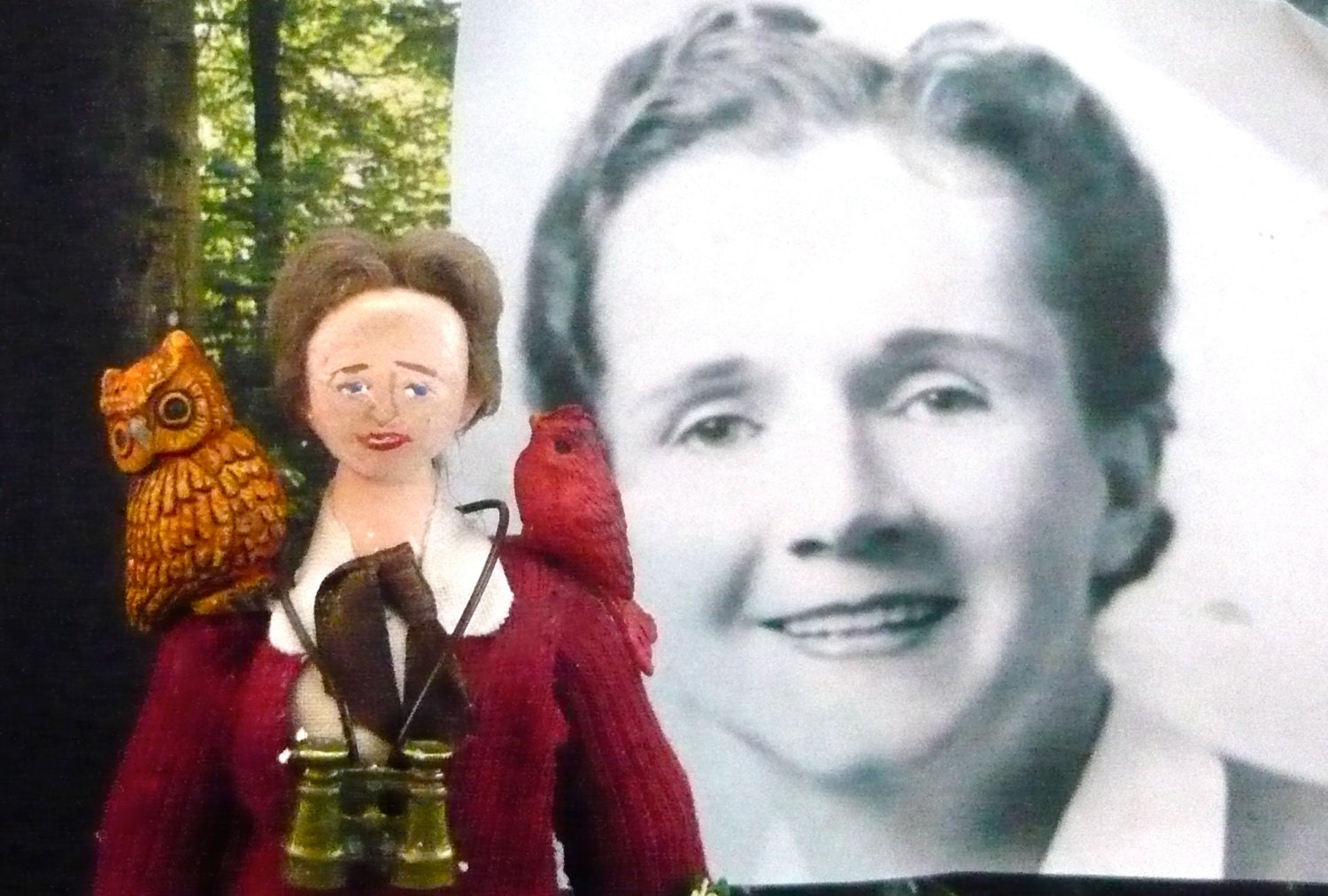Art Doll Collectible Rachel Carson Silent Spring Author