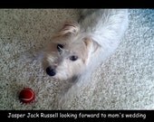 Reserved for Jasper Tuxedo Jacket in Grey with Red Bow Tie