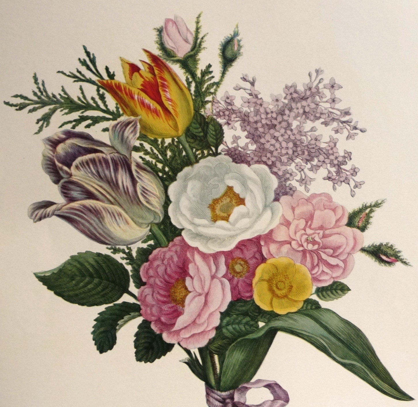 A Bouquet of Flowers - Botanical Illustration - 19th Century Floral Painting - Spring Summer Tulips Lilacs Peonies - AngelGrace
