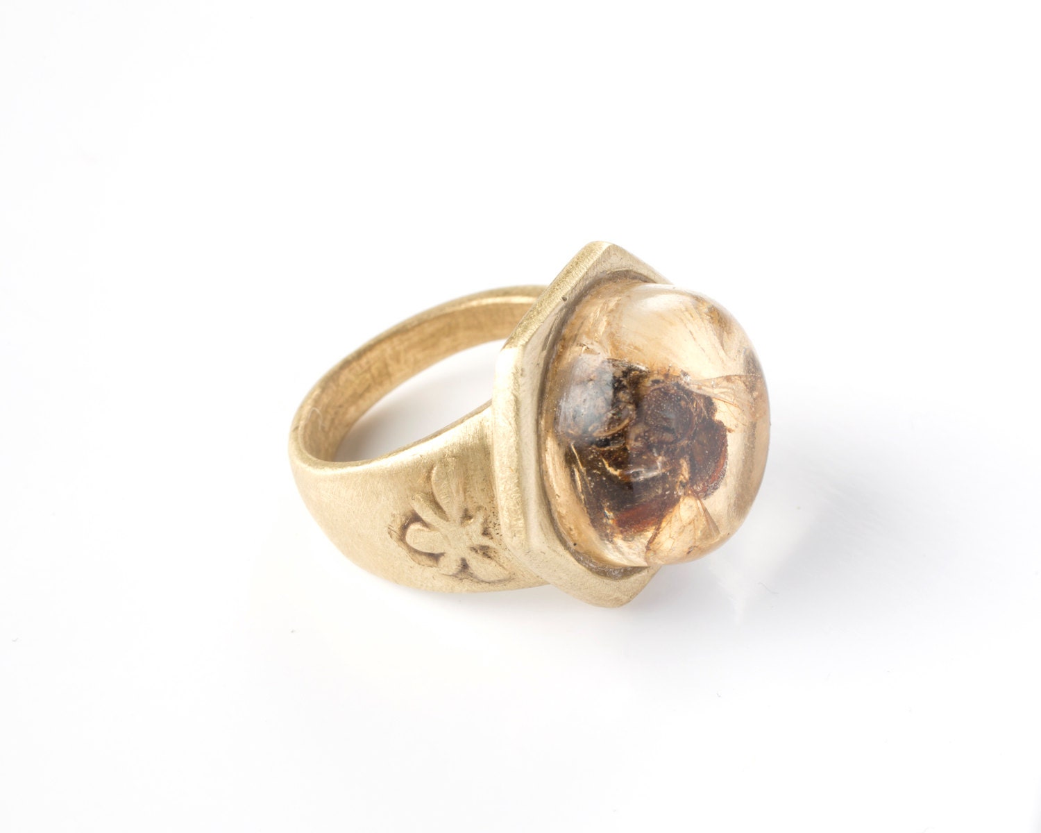 Real Bee Ring in Brass, Colony Collapse Jewelry
