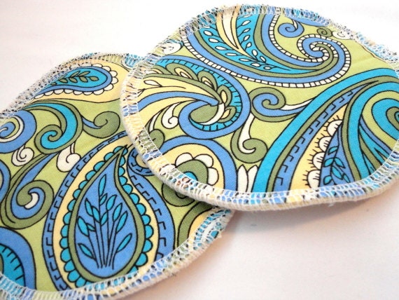 Organic Cotton Flannel Nursing Pads - Paisley Swirl