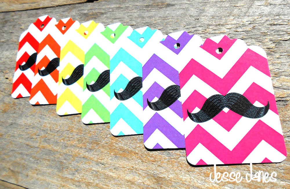 RAINBOW Chevron MUSTACHE Gift Tags Set of 14 - 2 of each color