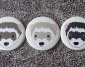 Set of 3 Ferret Face Buttons (or Magnets)