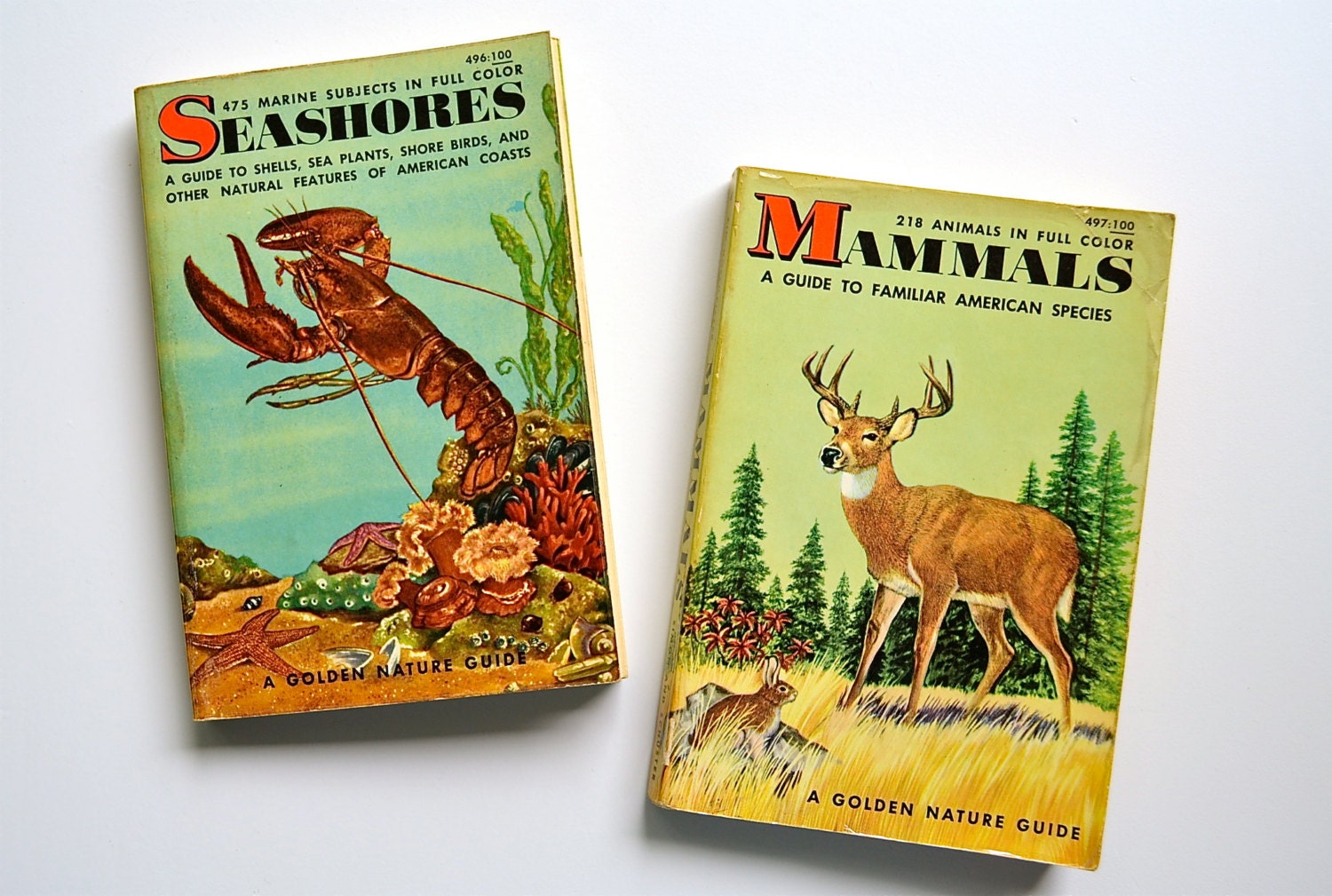 1955 Seashores & Mammals - Pocket Sized Golden Nature Guides