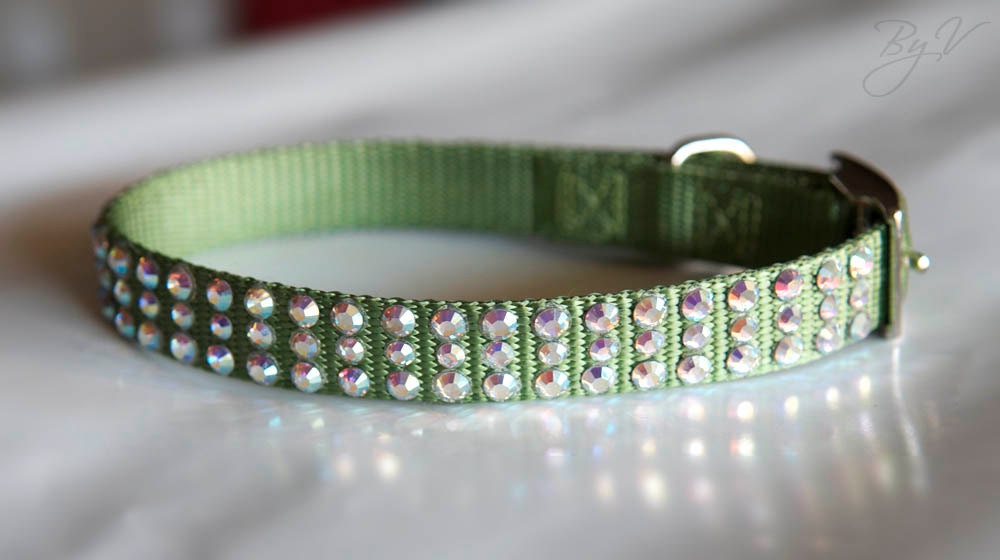Couture Dog Collar-Green/Boreal