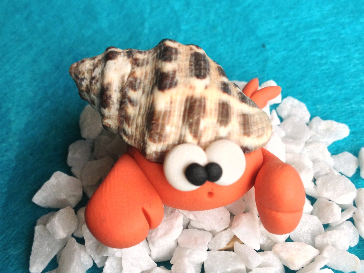 Hermit Crab - Paguro Bernardo (No 1) - A Little Polymer Clay Creation - bdbworld