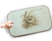 Spring Bird Nest Tags,  Assorted Shabby Springtime, Pale Green, Birds Nest