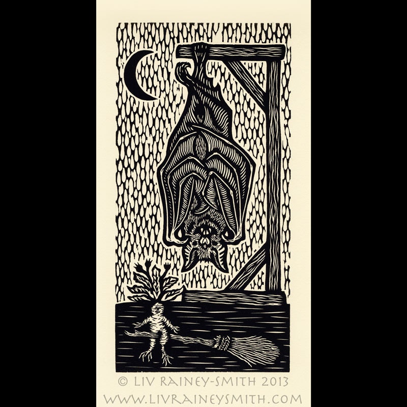 Bat woodcut limited edition Arcanum Bestiarum bestiary print