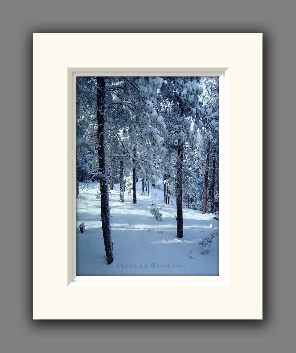 Forest Photos -Winter Pictures -Matted Photography -Blue Home Decor -Photography Gift -Fits 8x10 Frame