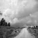 Black and White Photography -Country Road -8x10 Print -Western Landscape -Road Less Traveled -Colorado Fine Art Photography
