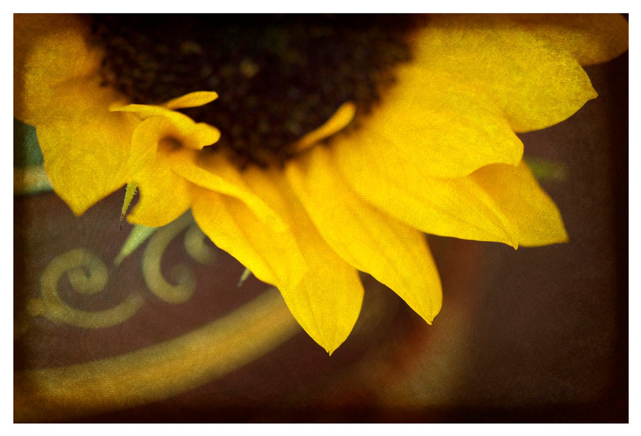 Floral Home Decor, browns, yellow, Sunflower Days, nature fine art print 8x12