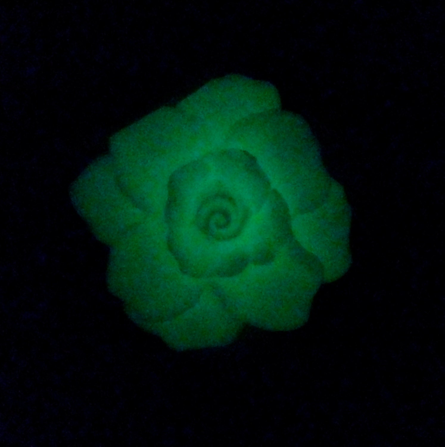 1940s Early Plastic Glow In The Dark Gardenia Brooch